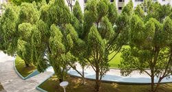 Blk 680A Jurong West Central 1 (Jurong West), HDB Executive #596522031